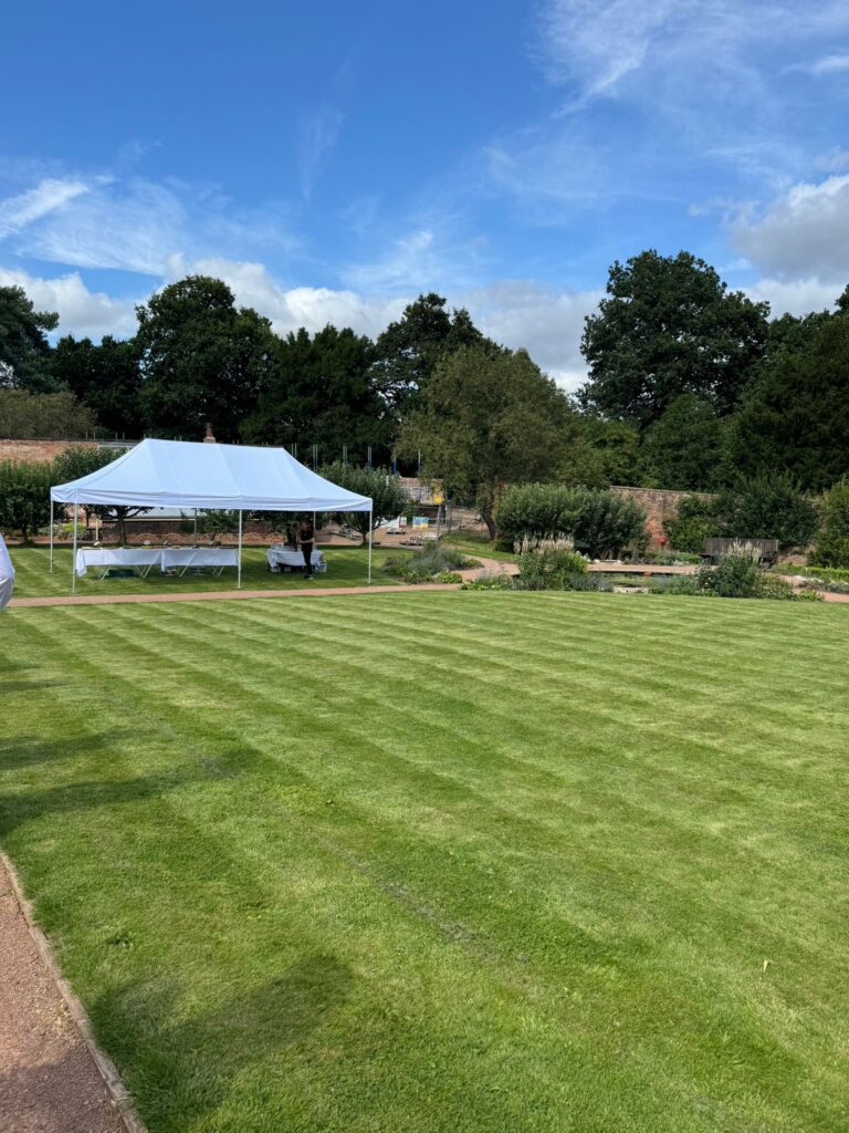 ecee97cf-133d-4c01-b0a9-a77f22bfd37a